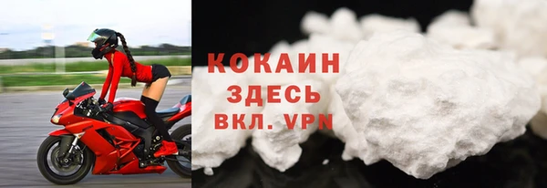 дмт Богородск