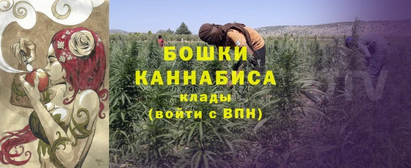apvp Богданович