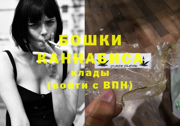apvp Богданович
