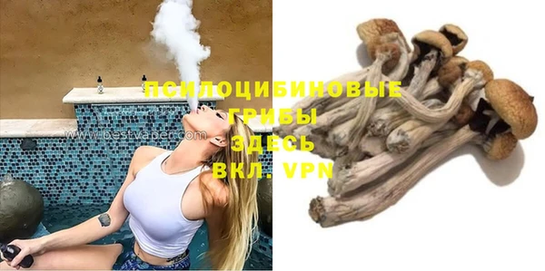 дмт Богородск
