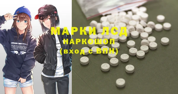 прущие грибы Баксан