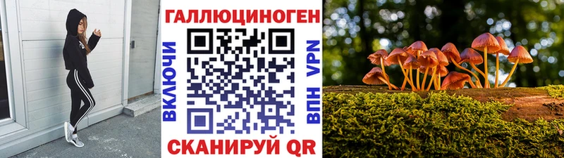 Псилоцибиновые грибы прущие грибы  Ульяновск 